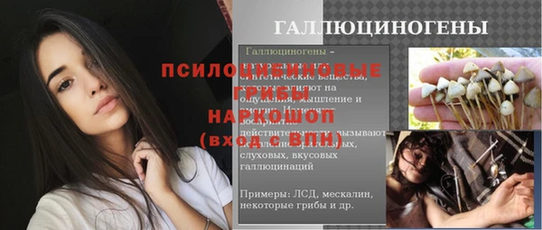 apvp Арсеньев