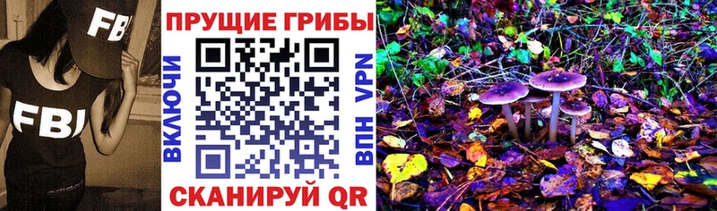 Псилоцибиновые грибы Psilocybe ссылка на мегу зеркало Таштагол купить наркотик
